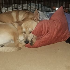 Meet your Posher, Charles